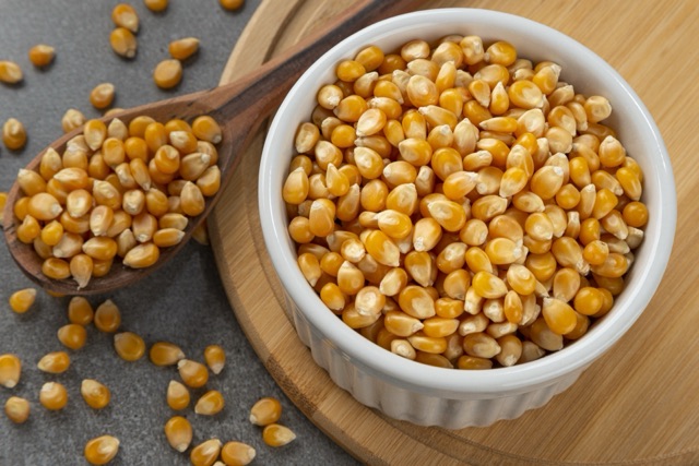 Popcorn maize