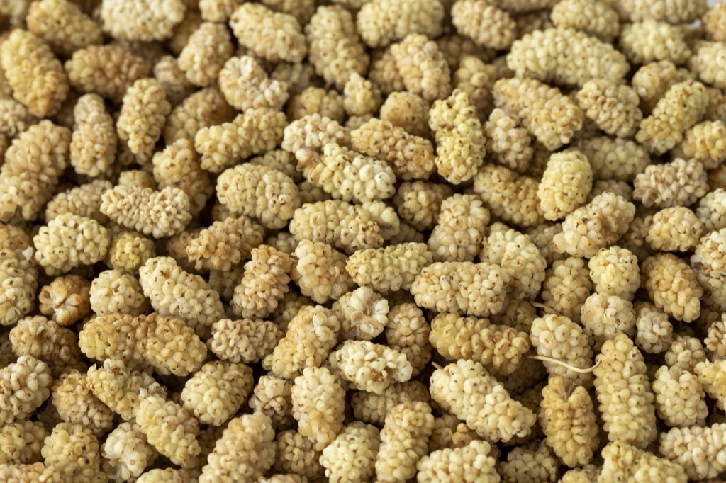 Dried white mulberries