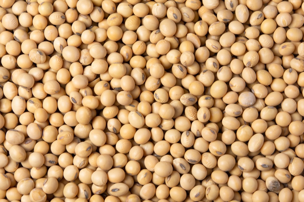 Feed soybeans