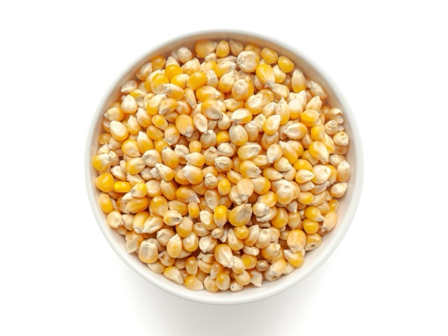 Corn