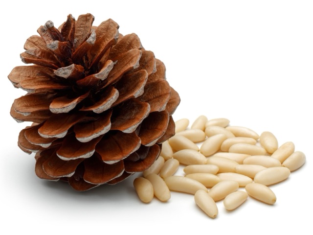 Pine nuts