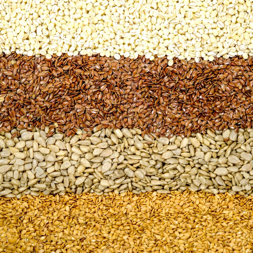 Sunflower seeds