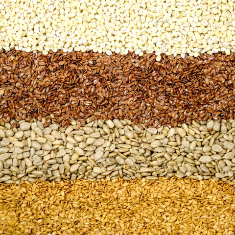 Sunflower seeds